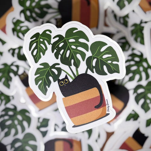 Black cat and monstera