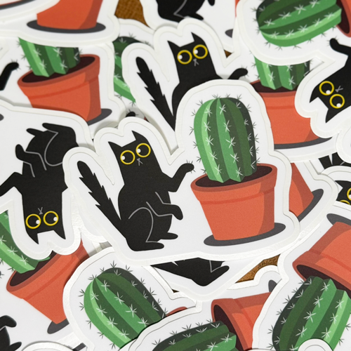 Black cat and cactus