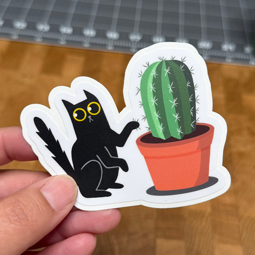 Black cat and cactus