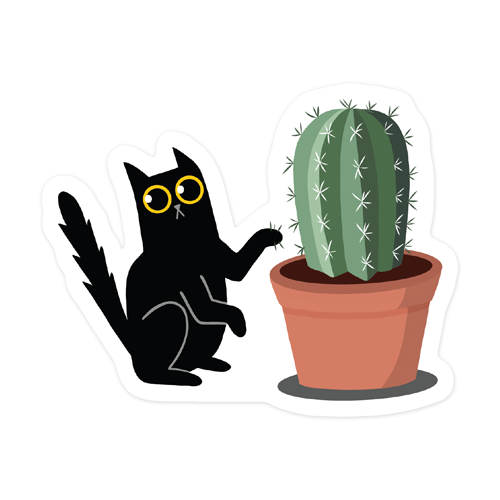 Black cat and cactus