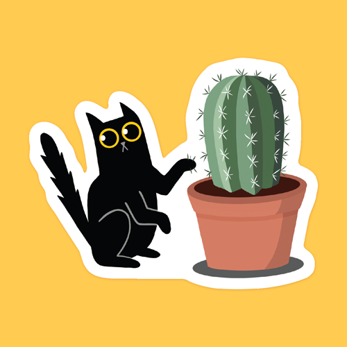 Black cat and cactus