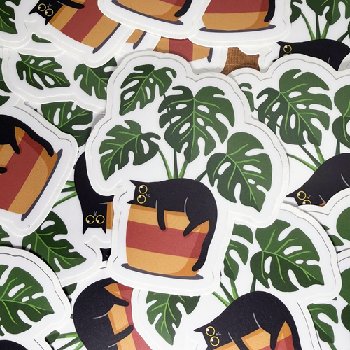 Black cat and monstera