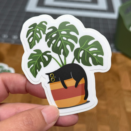 Black cat and monstera