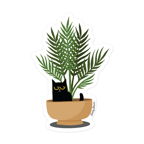 Black cat and palm