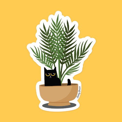 Black cat and palm