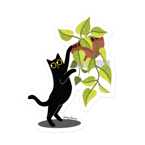 Black cat and pothos