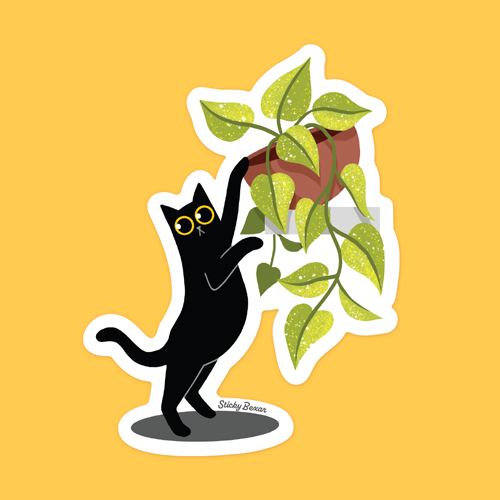 Black cat and pothos