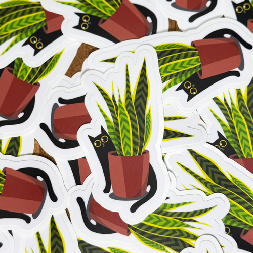 Black cat and snake plant