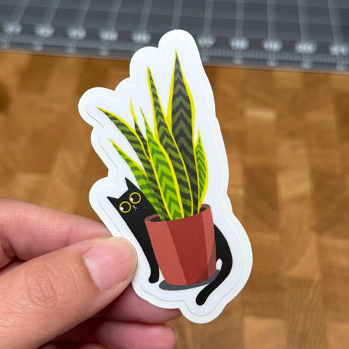 Black cat and snake plant